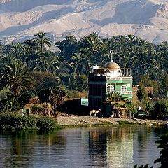 photo "By the Nile 2"