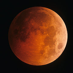 photo "Total Lunar Eclipse 2004"