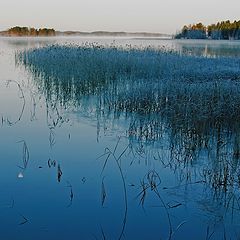 фото "Blue morning"