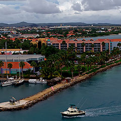 фото "Island of Aruba"