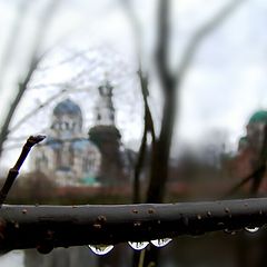 photo "Autumn drops..."