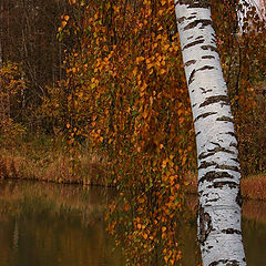 фото "Берендеево царство-2"