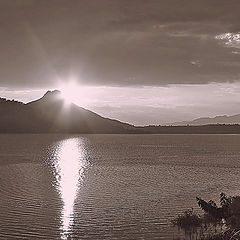 фото "presa del bosque"