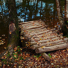 photo "Footbridge"