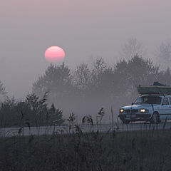 фото "На заре"