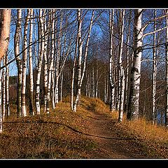 фото "Карельские зарисовки - 4."