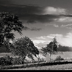 photo "Walking on the road of life"