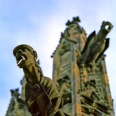 photo "Gothic drainpipe"