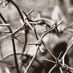 photo "****"