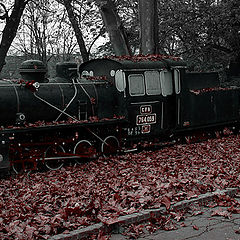 photo "November Train"