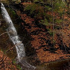 фото "Autumn Falls in New York"