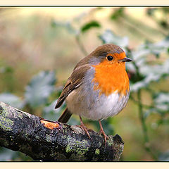 photo "The Photo Session Of A Christmas Model"