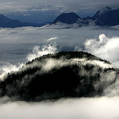 photo "Over the clouds"