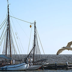 photo "On open spaces of northern seas"