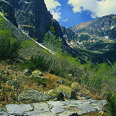 photo "Tatry VIII"