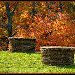 photo "Colors of the Fall"