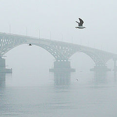 photo "Foggy Picture with Volga Bridge"