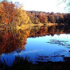 фото "Lake color."