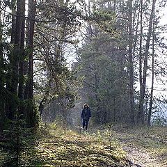 photo "Walk in fall wood"