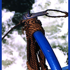 photo "Still-life in sea style"