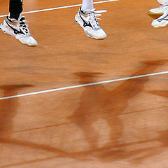 photo "The Volleyball in style of Matisse"