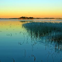 фото "Blue morning"