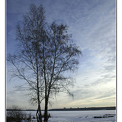 photo "Ashore of freezed lake"