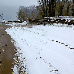 photo "The first snow"