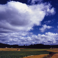 photo "Late summer"