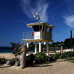 photo "Waimea Beach - Hawaii"