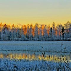 фото "Early mornig fisherman"