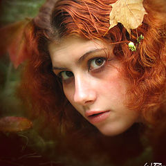 photo "Autumn Shee, startled..."