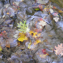 фотоальбом "Waterworks"