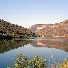 фото "Douro`s River"