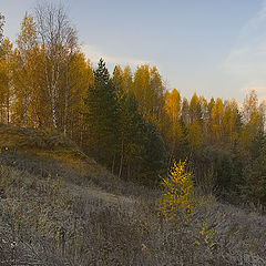 photo "Frosty morning"