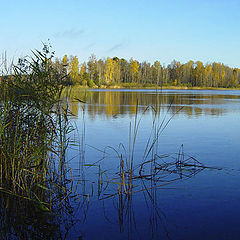 photo "Autumn day"