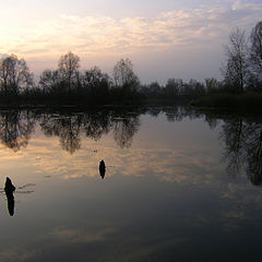 фото "закат"