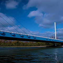 photo "the bridge"