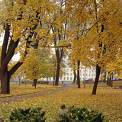 photo "Fall in city"