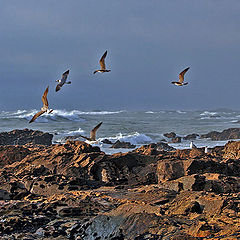 фото "the fisherman"