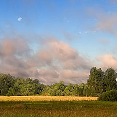 photo "Morning after a thunder-storm."