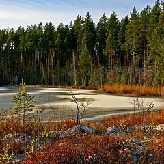 фото "Forest lake"