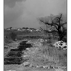 photo "Stairway to Heaven- Emergency Exit"