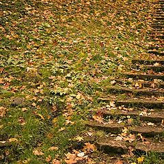 фото "up the downstaircase"