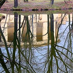 photo "Reflection"