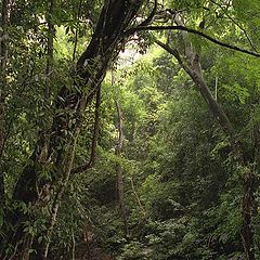 фото "Thailand-Kaeng Krachan 2"