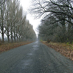 photo "It is road to the home."