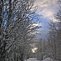 фото "Winter way"