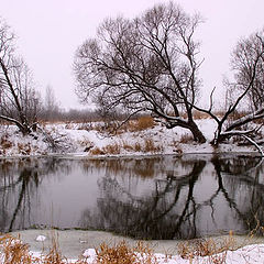 photo "Snow November"