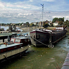 photo "When tide is low"